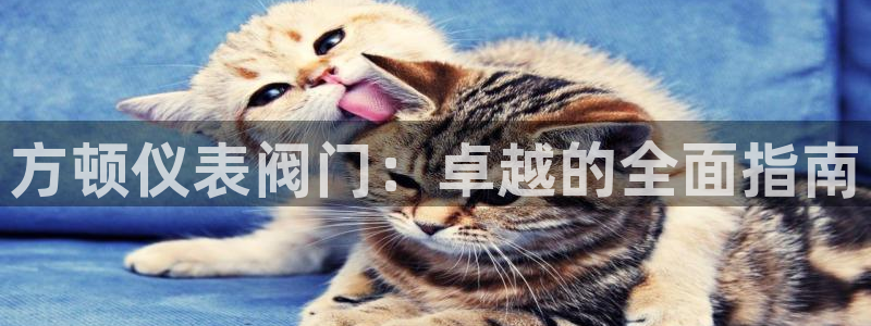 九游会官网登录不上