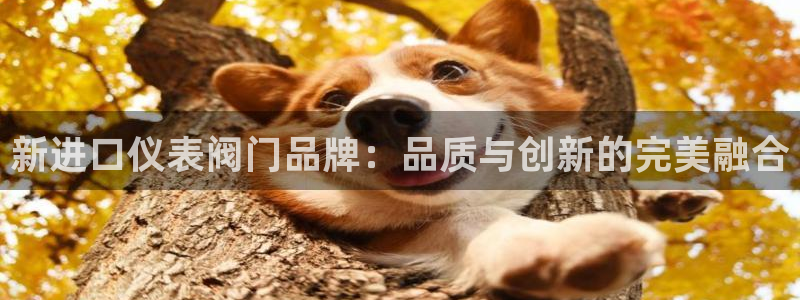 九游会最新入口