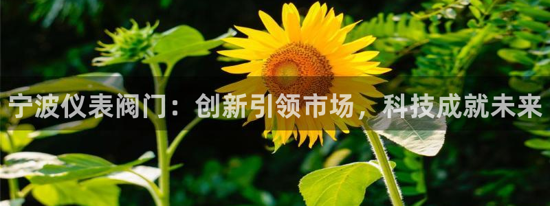 九游为何会测出病毒数据