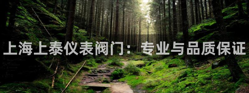 j9九游会最新网站