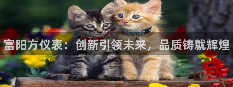 九游会注册网址