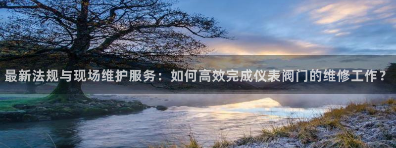 九游vip会过期吗