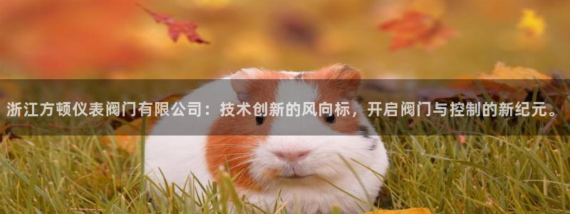 九游会j9国际站