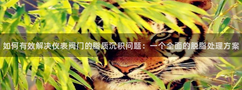 j9九游会备用网站